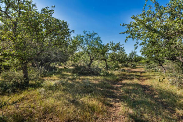 631 TIMBER TRL, EDEN, TX 76837 - Image 1