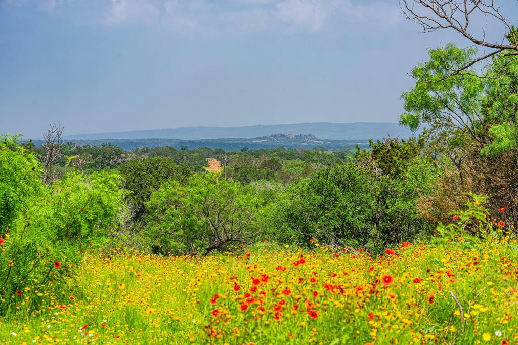 1320 COUNTY ROAD 306, LLANO, TX 78643, photo 1 of 36