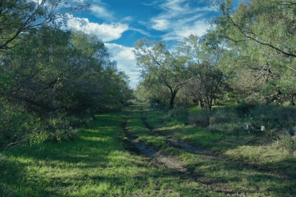 0 RANCH RD 648, DOSS, TX 78618, photo 2 of 6