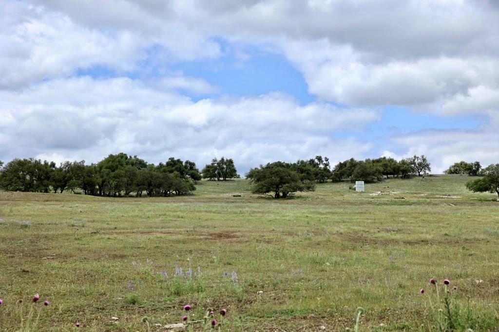 LOT 19 REEH RD # 19, FREDERICKSBURG, TX 78624, photo 1 of 6