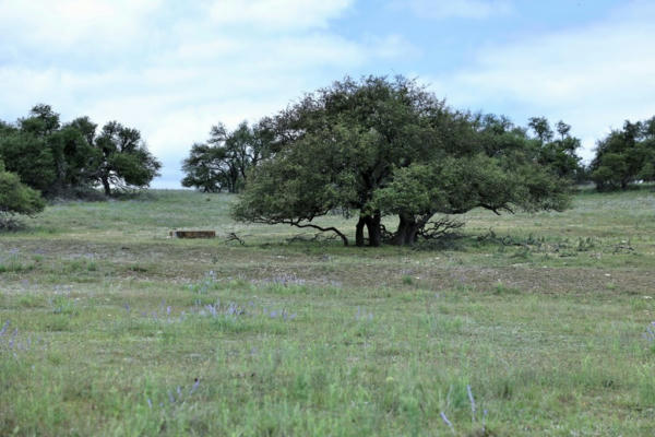 LOT 19 REEH RD # 19, FREDERICKSBURG, TX 78624, photo 3 of 6