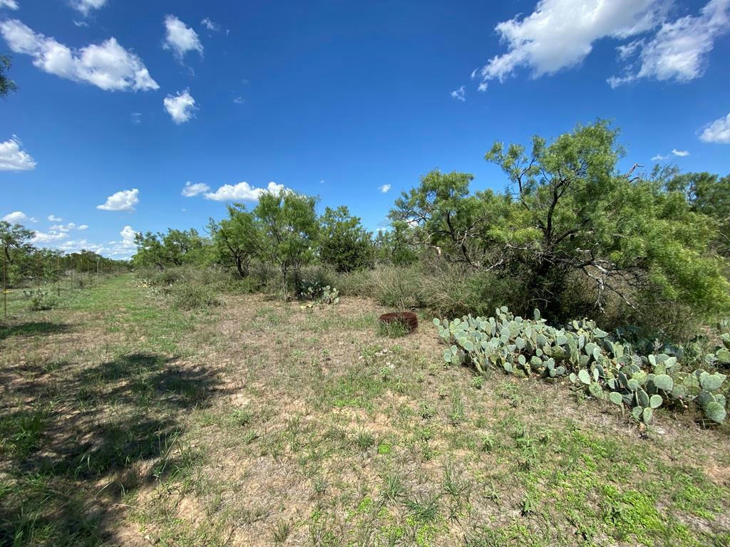 TRACT 16 JACK RABBIT RD # 16, DOSS, TX 78618, photo 1 of 23