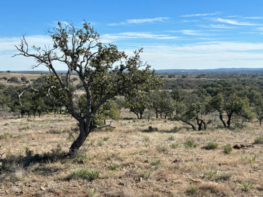 6748 S US HIGHWAY 87, MASON, TX 76856, photo 3 of 20