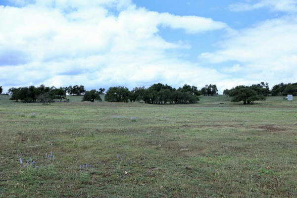 LOT 19 REEH RD # 19, FREDERICKSBURG, TX 78624, photo 4 of 6