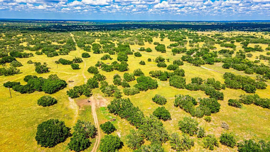 TRACT 20 LEGACY OAKS DR, HARPER, TX 78631, photo 1 of 13