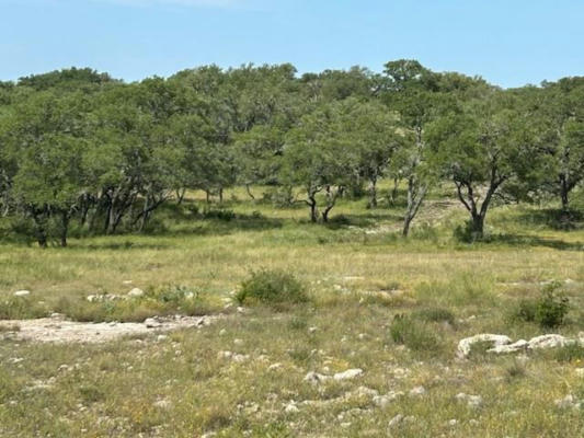 TBD FM 1340, MOUNTAIN HOME, TX 78058 - Image 1