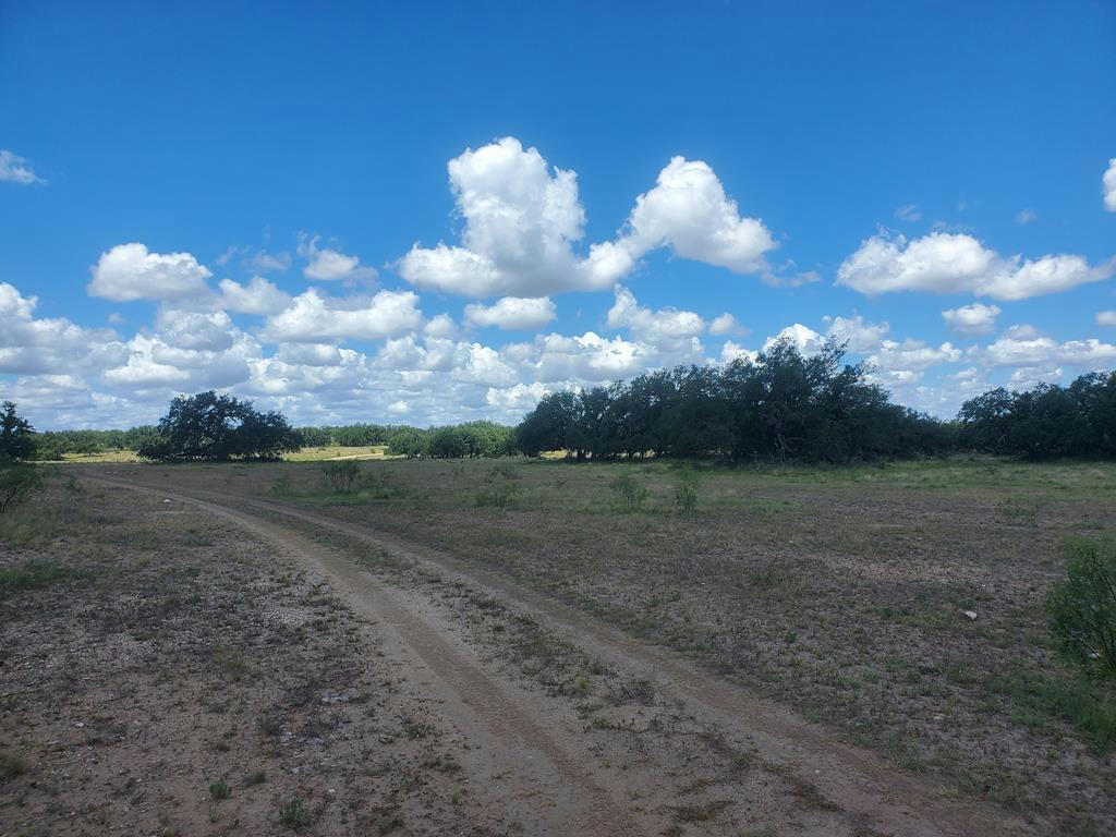 TRACT 36 CAVE WELLS RD # 36, FORT MCKAVETT, TX 76841, photo 1 of 2