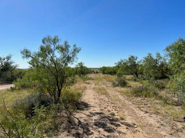 13910 COUNTY ROAD 4483, MILLERSVIEW, TX 76862, photo 1 of 19