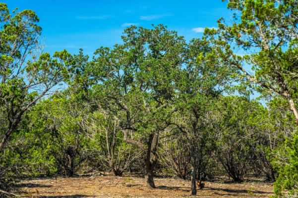 LOT 7 GILLESPIE RIDGE DR, HARPER, TX 78058, photo 2 of 13